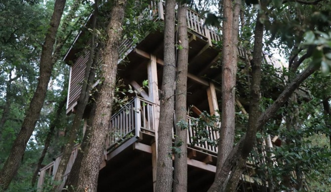Orion Treehouses