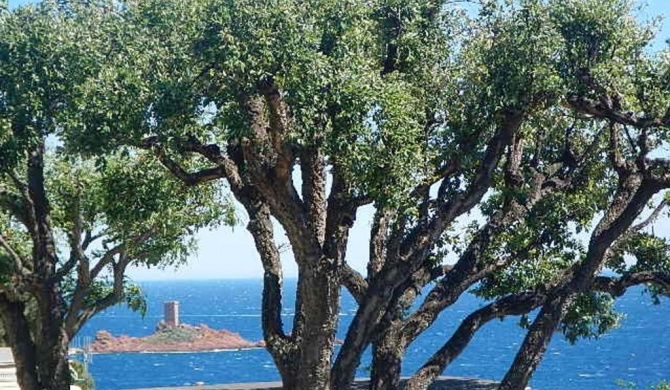 Bungalow d'une chambre avec vue sur la mer piscine partagee et jardin amenage a Saint Raphael a 1 km de la plage