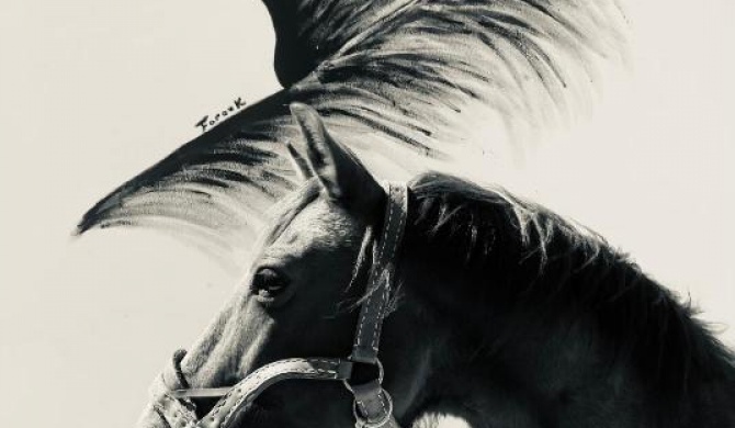 Gîtes Equestres Lou Caloun - Les Saintes Maries de la Mer