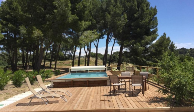 Ferme provençale traditionnelle avec piscine privée, dans un site naturel exceptionnel en campagne de Maussane les Alpilles, 8 personnes, LS1-314 MARCA